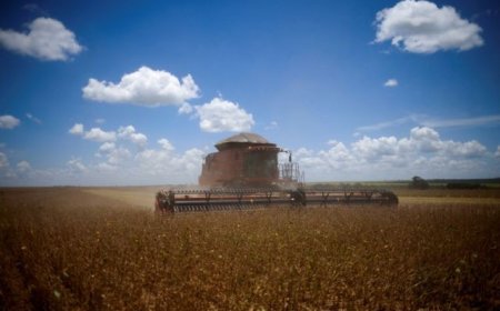 Balança comercial ultrapassa US$ 98 bilhões em 2023, maior valor da série histórica