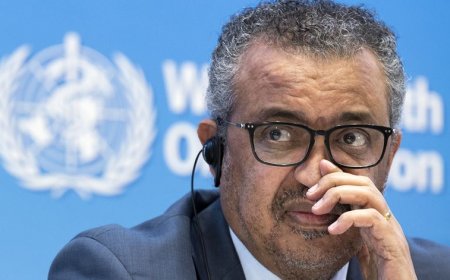 Covid-19. OMS alerta para aumento de hospitalizações em dezembro