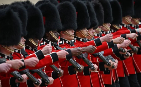 Stephen Fry quer que a Guarda do Rei afaste a pele do urso