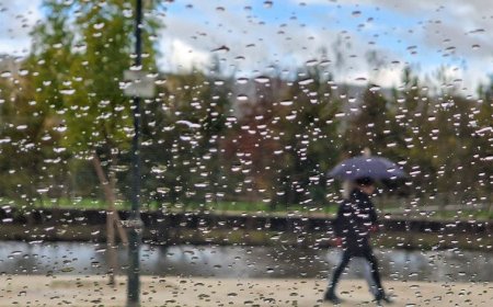 Chuva "forte e persistente" nas próximas 48 horas. Veja as recomendações da Proteção Civil