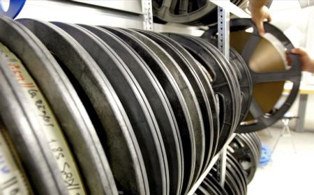 Associações do cinema e audiovisual pedem regulação internacional do "streaming"