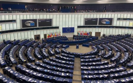 Parlamento Europeu pede pela primeira vez "cessar-fogo permanente" Israel-Hamas