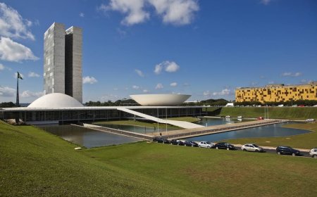 Como funciona o sistema político brasileiro?