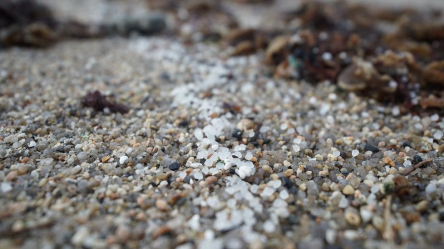 Toneladas de plásticos no mar deixam todo o norte de Espanha em alerta