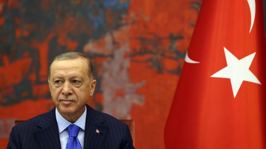 Erdogan acusa EUA e Reino Unido de responderem desproporcionalmente contra os Huthis no Iémen